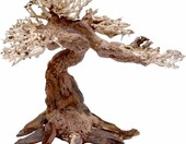 Amtra Oriental Wind 5 – naturalny korzeń do akwarium, 25 x 10 x 18 cm – zdjęcie 1