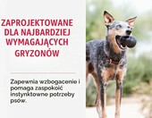 KONG Extreme XL – wytrzymała zabawka dla dużych psów, czarna guma – zdjęcie 3