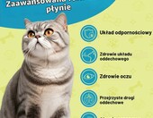 Eagou Diary Lysin – krople z L-lizyną i witaminami dla kotów, 60 ml – zdjęcie 3