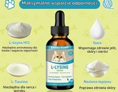 Eagou Diary Lysin – krople z L-lizyną i witaminami dla kotów, 60 ml – zdjęcie 5