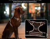 HEELE SCK-FR M – szelki dla psa średniej rasy z uchwytem, odblaskowe, kwiatowe pomarańczowe – zdjęcie 5