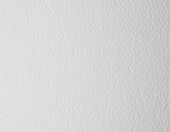 Netuno Prisma Bianco papier A4 100 g, 100 arkuszy – papier fakturowany do druku firmowego – zdjęcie 1