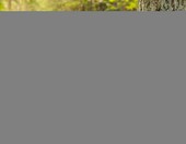 Relaxdays 10049681 – łańcuch ostrzegawczy 10 m, czerwono-biały – zdjęcie 2