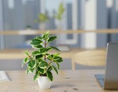 PASCH sztuczna kamelia w białej doniczce ceramicznej 29 cm – kompozycja kwiatowa – zdjęcie 2