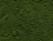 Biotiva Chlorella i Spirulina BIO w proszku 100 g – mieszanka alg, wegańska – zdjęcie 2
