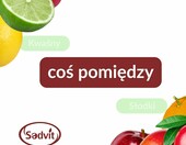 Sadvit ekologiczny sok z aronii BIO NFC 1,5 l – tłoczony, bag in box – zdjęcie 5