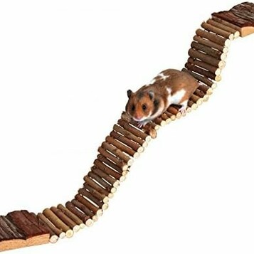 TRIXIE 6221 drewniana drabinka dla gryzoni – 55 cm, 7 szczebli