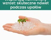 virhea granulat hydrożelowy 100 g – hydrożel zatrzymujący wodę dla roślin – zdjęcie 3