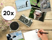 Edition Colibri Zabawne zwierzęta 6 – zestaw 20 pocztówek A6 – zdjęcie 3