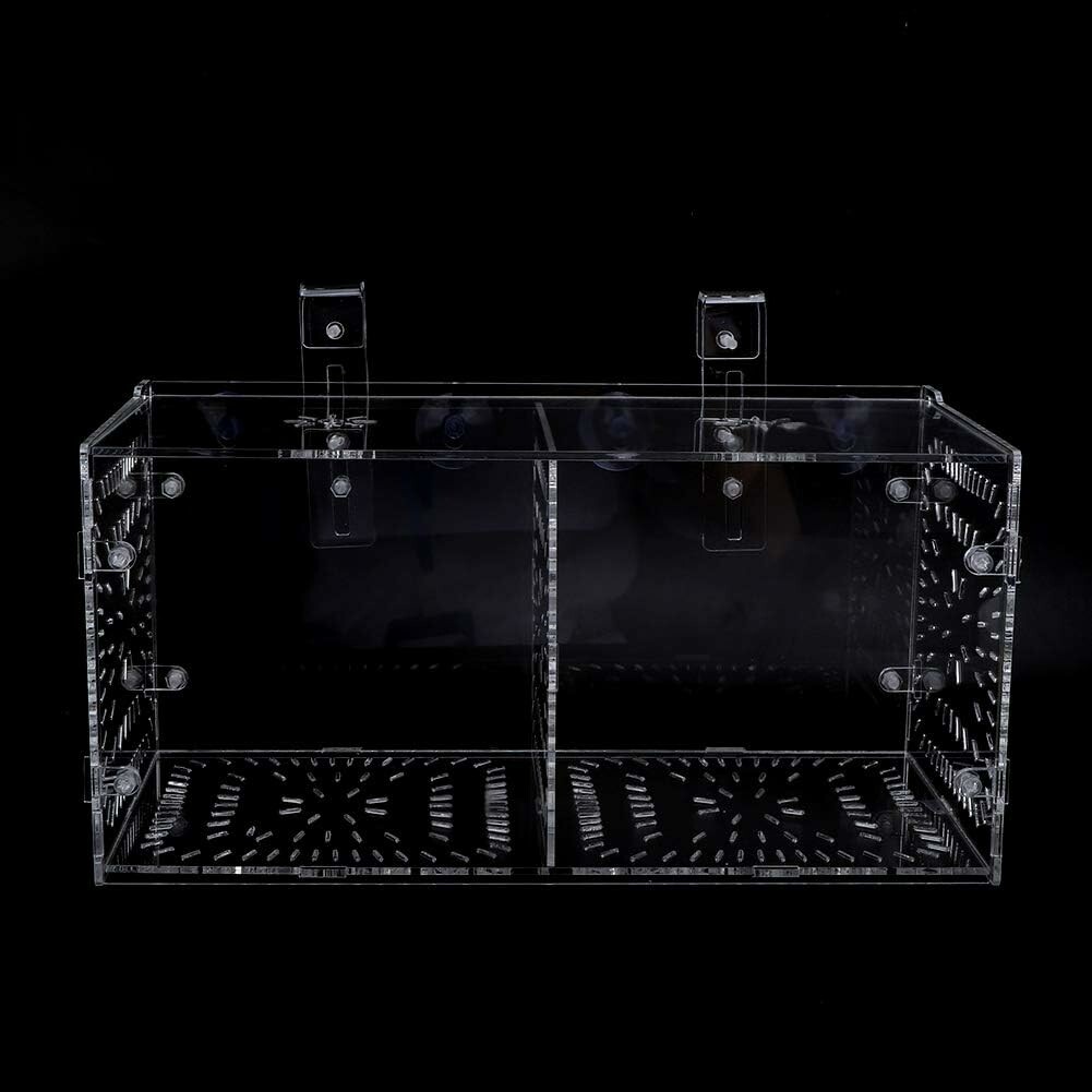 XUXHOU akrylowy kojec do akwarium 30x15x15 cm – skrzynka izolacyjna dla ryb