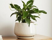 LE TAUCI donica ceramiczna 25 cm z otworem odpływowym i spodkiem – beżowe szkliwo reaktywne – zdjęcie 1