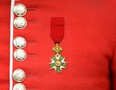 Ymxygz YM-10991 – odznaczenie Legii Honorowej, metalowa odznaka kolekcjonerska, złota – zdjęcie 2