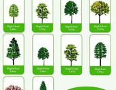 Fonyiunce zestaw 30 drzewek modelarskich 3,5–7 cm – elementy makiet i dioram – zdjęcie 2