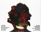 Metallica Hardwired...To Self-Destruct – podwójna płyta winylowa 2 LP – zdjęcie 2