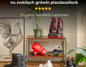ShoeDry Ozone – elektryczna suszarka do butów z funkcją ozonowania, czarna – zdjęcie 3