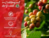 Senseo Classic – 160 saszetek (10 x 16) kawy do ekspresów Senseo – zdjęcie 3