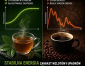 Amazonian Treasure guayusa liściasta 454 g – ekologiczny napar z Ekwadoru – zdjęcie 2