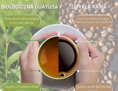 Amazonian Treasure guayusa liściasta 454 g – ekologiczny napar z Ekwadoru – zdjęcie 5