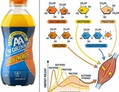 AA Drink High Energy – hipertoniczny napój sportowy, 24 puszki po 0,33 l – zdjęcie 2