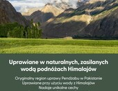 Yum Asia Super Kernel ryż basmati 5 kg – bardzo długoziarnisty – zdjęcie 5