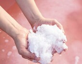 Le Saunier de Camargue Fleur de Sel 1 kg – francuska sól morska w puszce – zdjęcie 4