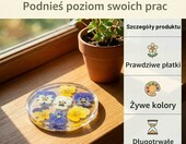 Celblisora suszone jadalne kwiaty 50 szt. – mieszanka 10 rodzajów do dekoracji ciast – zdjęcie 3