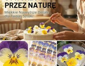 Celblisora suszone jadalne kwiaty 50 szt. – mieszanka 10 rodzajów do dekoracji ciast – zdjęcie 4