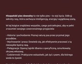 Praktyczny przewodnik Hiszpański Pies Dowodny (stan nowy) – zdjęcie 2