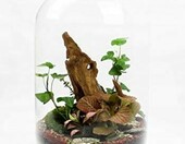 RETNE zestaw startowy las w słoiku – podłoże, drenaż i kamyki do terrarium – zdjęcie 4
