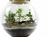 RETNE zestaw startowy las w słoiku – podłoże, drenaż i kamyki do terrarium – zdjęcie 5