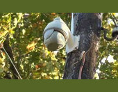 Sricam SP008 5x Zoom – kamera zewnętrzna (używany) – zdjęcie 3