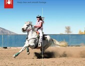 Victure AC700 4K 30fps 20MP – kamera sportowa (używany) – zdjęcie 3