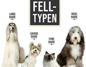 PetKing C6 – maszynka do strzyżenia zwierząt, stan: używany – zdjęcie 4