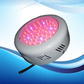 Lampa LED do uprawy roślin pomidory indoor 50W