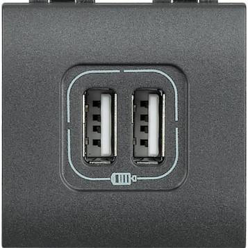 Ładowarka z 2 gniazdami USB Legrand Bticino L4285C2